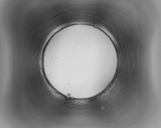 X0000112400861200908141004