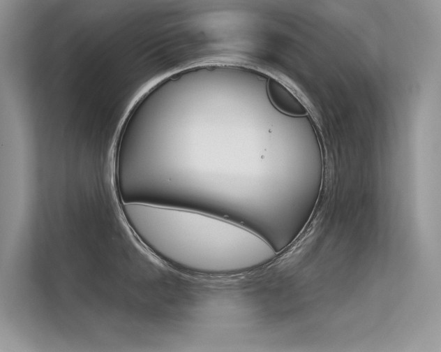 X0000112400862200908141004