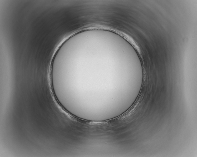X0000112400863200908141004