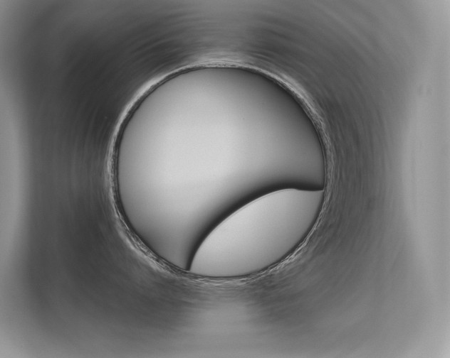 X0000112400864200908141004