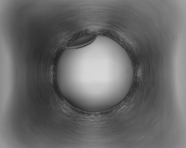 X0000112400868200908141003