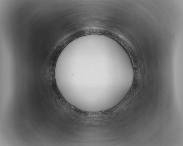 X0000112400870200908141003