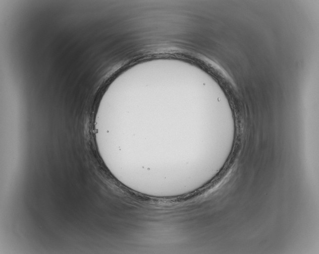 X0000112400873200908141003