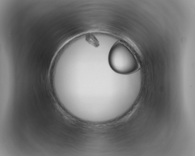 X0000112400876200908141003