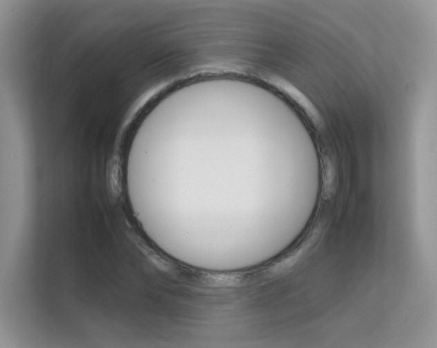 X0000112400878200908141003