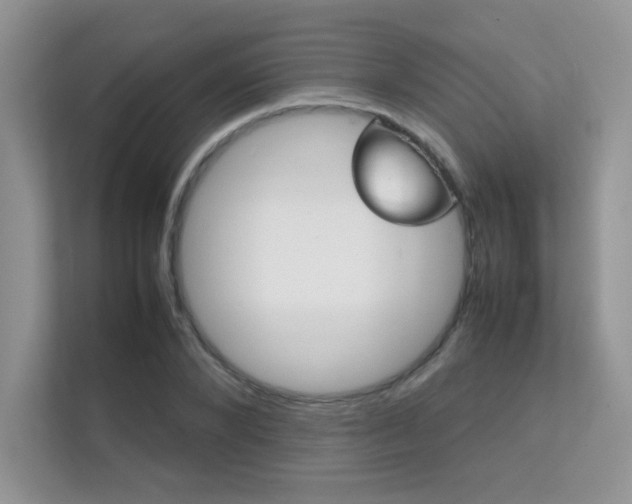 X0000112400880200908141003