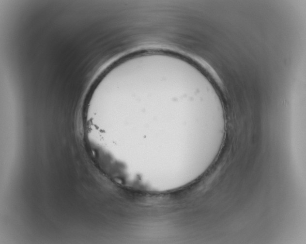 X0000112400887200908141003