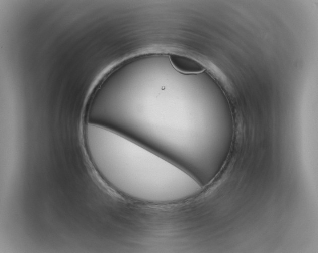 X0000112400896200908141003