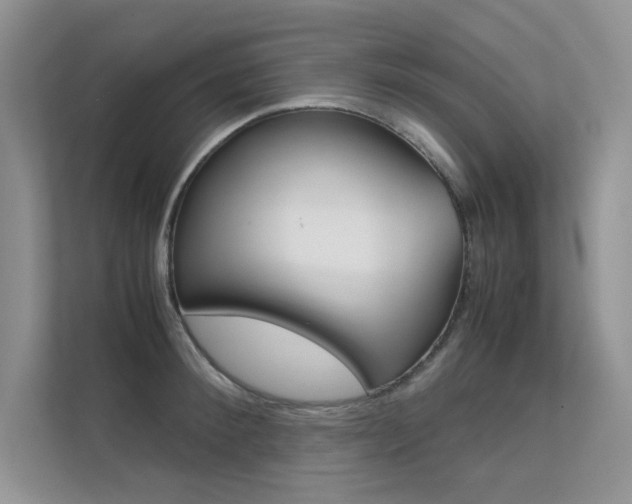 X0000112400900200908141003