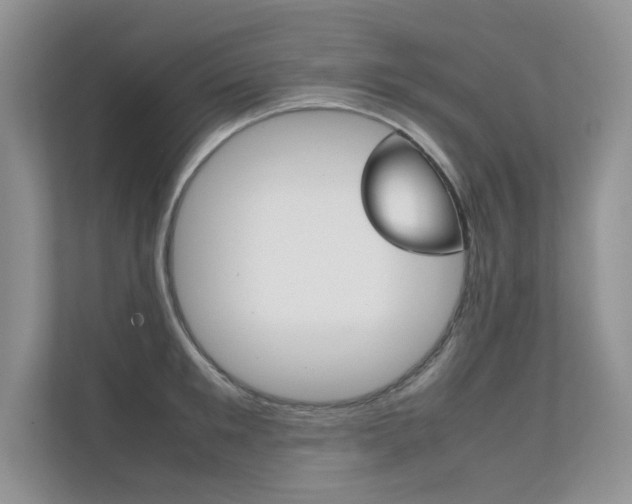 X0000112400901200908141003