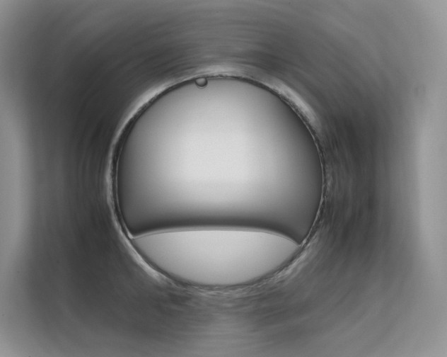 X0000112400902200908141003