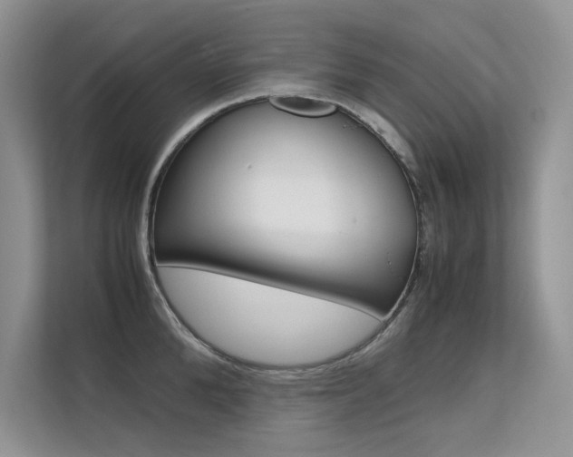X0000112400904200908141003