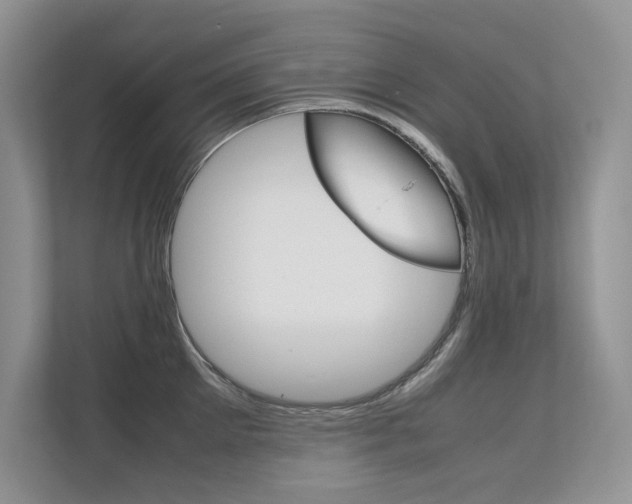 X0000112400905200908141003