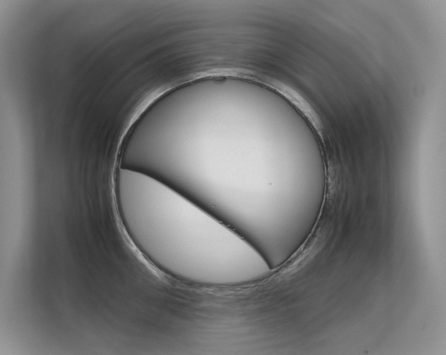 X0000112400906200908141003
