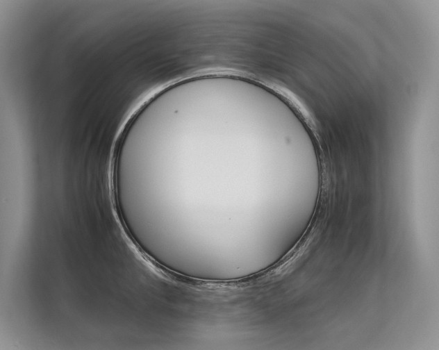 X0000112400910200908141003