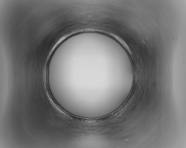 X0000112400911200908141003