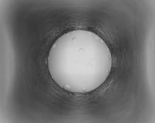 X0000112400913200908141002