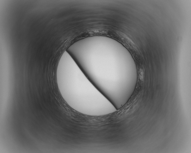 X0000112400915200908141002