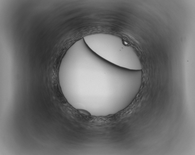 X0000112400917200908141002
