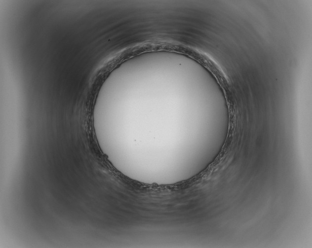 X0000112400919200908141002