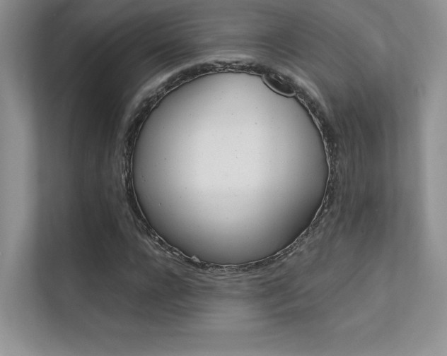 X0000112400920200908141002