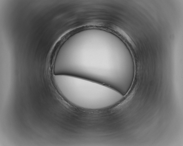 X0000112400923200908141002