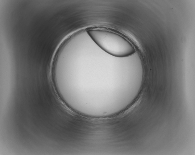 X0000112400924200908141002