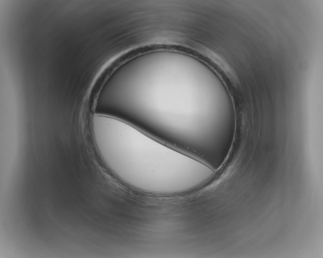 X0000112400926200908141002