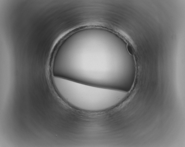 X0000112400928200908141002