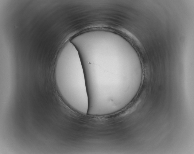 X0000112400929200908141002