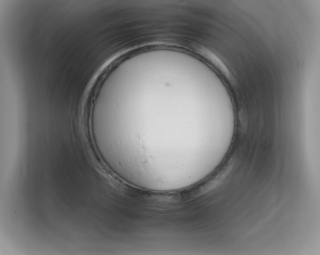 X0000112400931200908141002