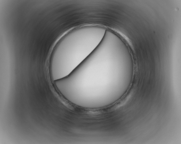 X0000112400933200908141002