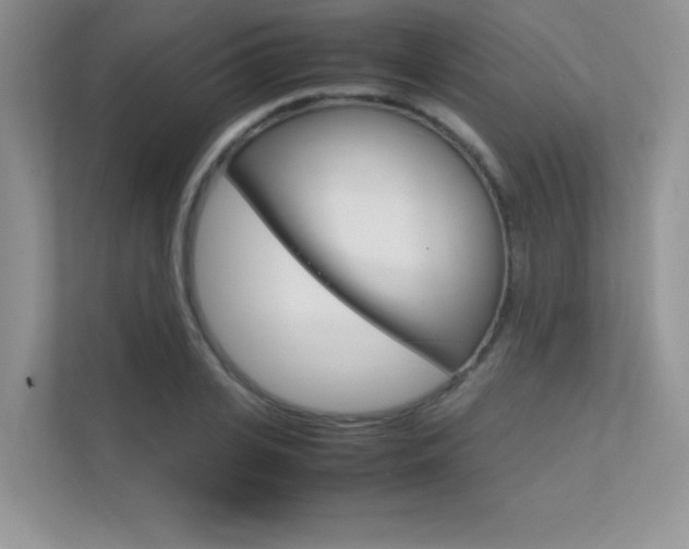 X0000112400935200908141002