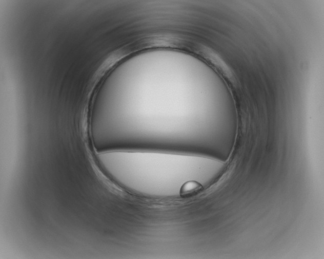 X0000112400938200908141002