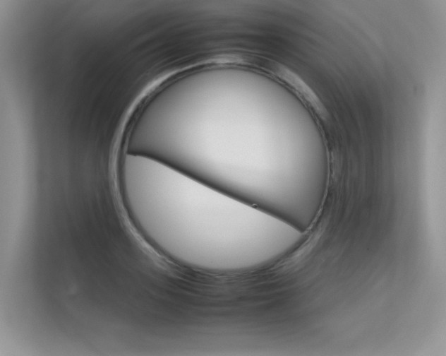 X0000112400939200908141002