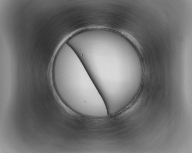 X0000112400941200908141002