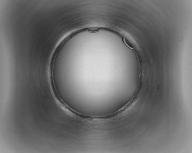 X0000112400942200908141002