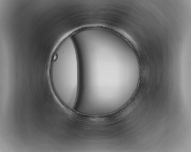 X0000112400943200908141002