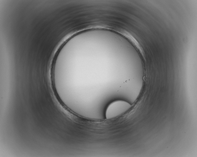 X0000112400947200908141002