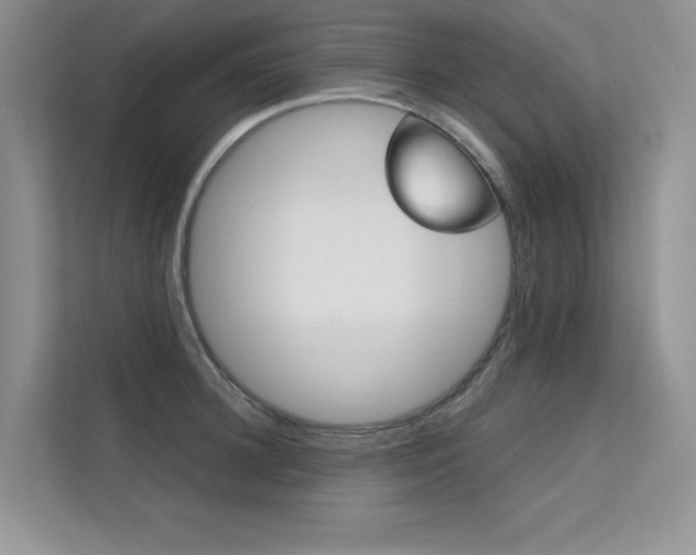 X0000112400948200908141002