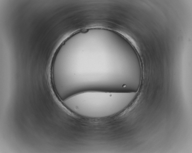 X0000112400949200908141002
