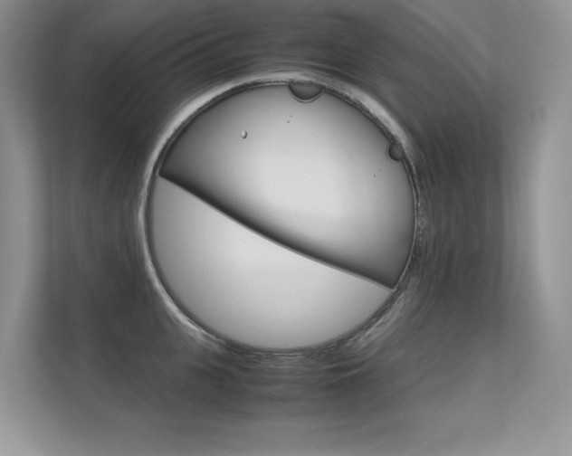X0000112400951200908141002