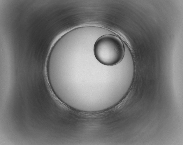 X0000112400952200908141002