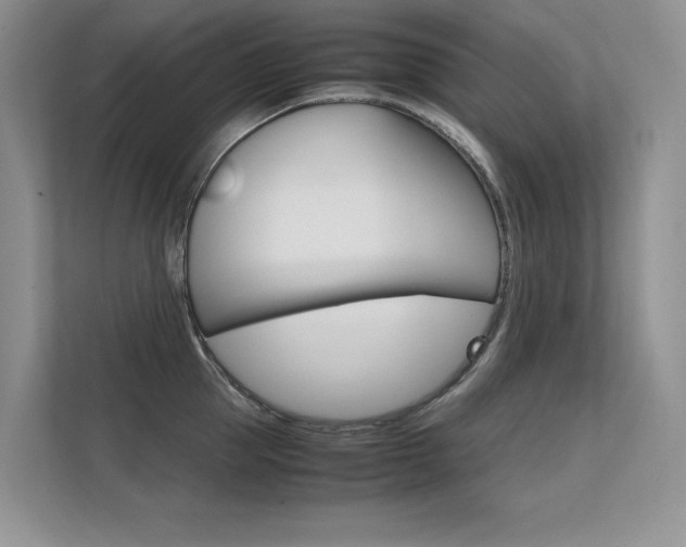 X0000112400953200908141002