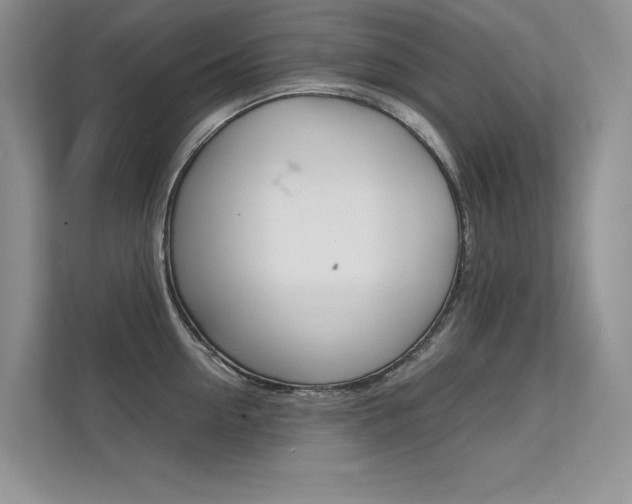 X0000112400954200908141002