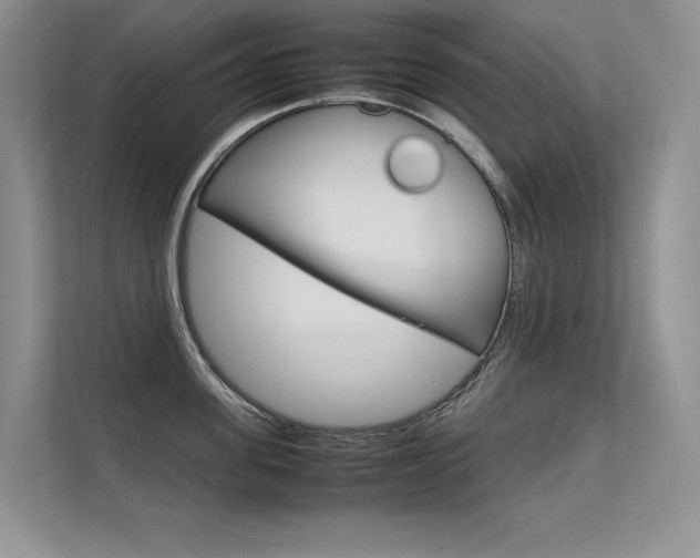 X0000112400955200908141003