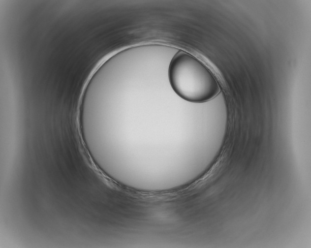 X0000112400956200908141003
