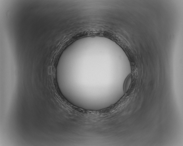 X0000112400961200908141002