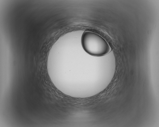 X0000112400965200908141002