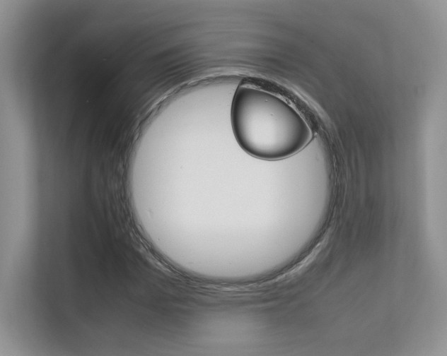 X0000112400969200908141002